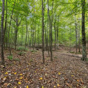 27-web-or-mls-IMG_2515