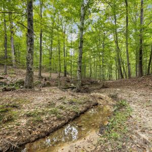 28-web-or-mls-IMG_2516