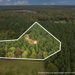 29-web-or-mls-DJI_0185_1