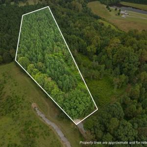 36-web-or-mls-DJI_0167_1