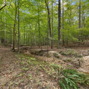 49-web-or-mls-IMG_2517