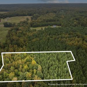 52-web-or-mls-DJI_0179_1