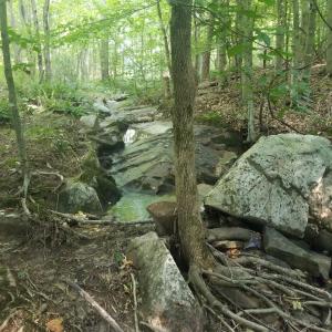 20250726_175419_Original