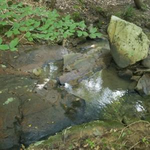 20250726_175432_Original