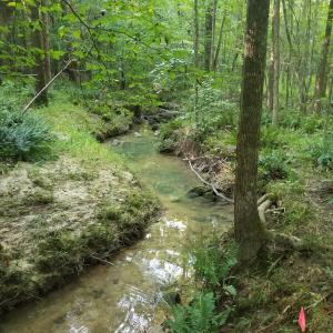 20250726_175534_Original