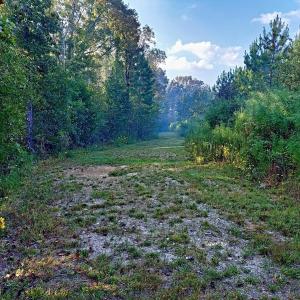 PTM path 2