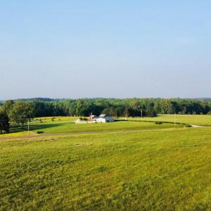 dji_fly_20250429_184358_81_1745966661122