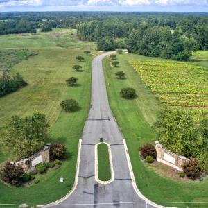DJI_0560
