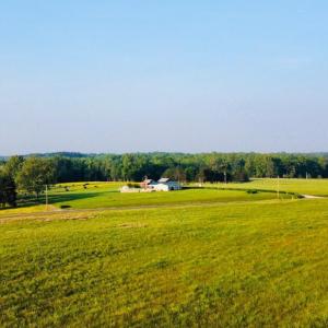 Convert to JPG project