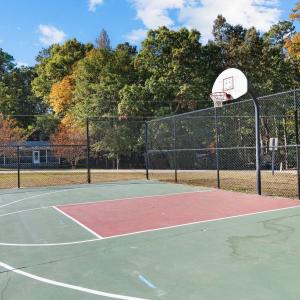 Basketball Court 1