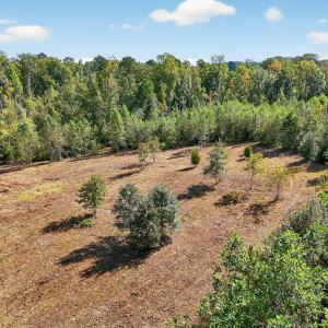 10-web-or-mls-010_DJI_20250922102654_054