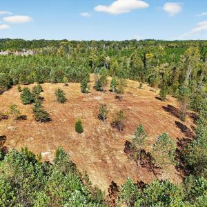 11-web-or-mls-011_DJI_20250922102714_054