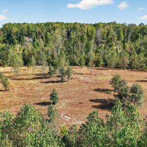 9-web-or-mls-009_DJI_20250922102646_0541