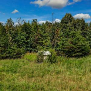 Ashland Rd Parcel 0010 018-large-018-010