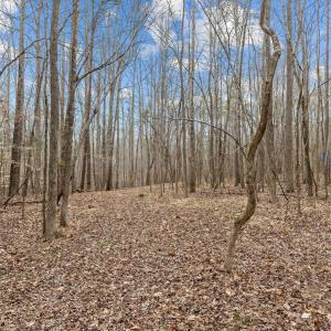 11-web-or-mls-_1190497