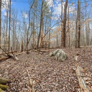 12-web-or-mls-_1190498