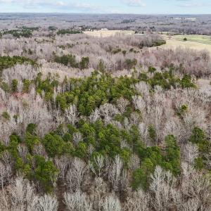 23-web-or-mls-DJI_20250310161802_0056_D