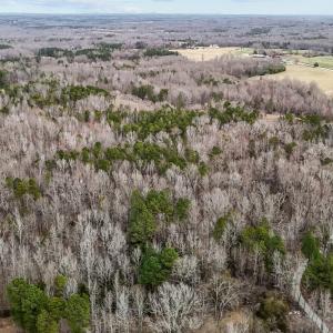 24-web-or-mls-DJI_20250310161859_0058_D