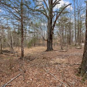 5-web-or-mls-_1190491