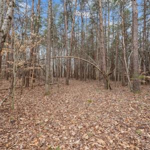 8-web-or-mls-_1190494