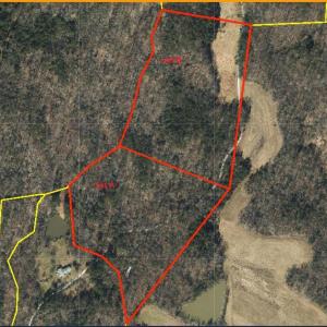 GIS 8729 Allison whole property split