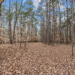 9-web-or-mls-_1190495