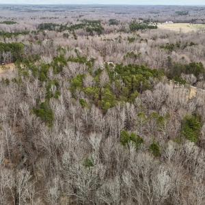 22-web-or-mls-DJI_20250310161740_0055_D