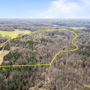 62-web-or-mls-8717 Allison Rd. Cedar Gro