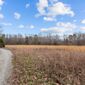 6-web-or-mls-_1190492