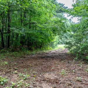 4833-Woods-3