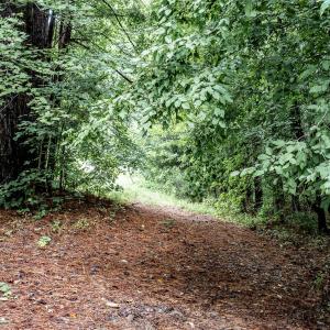 4833-Woods-4