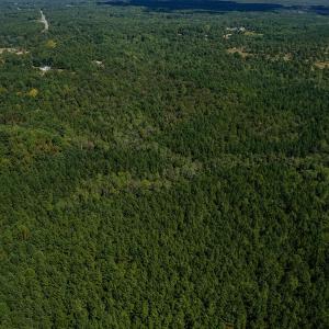 DJI_0370