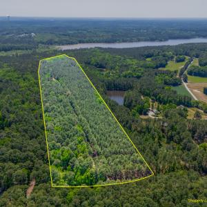 2510 Tody Goodwin - Property Lines-3