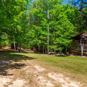 2510 Tody Goodwin-19