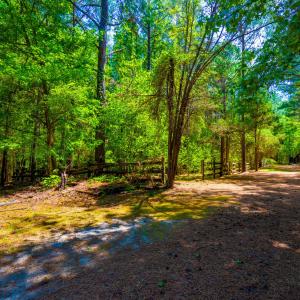 2510 Tody Goodwin-18