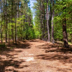 2510 Tody Goodwin-21