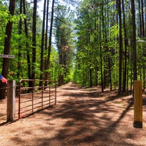 2510 Tody Goodwin-22