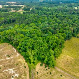 06-9204 Four Sisters Ln-6