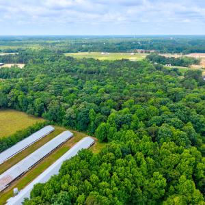 BvzKQVaiNO2jd3DNoWLfNlhblBUH