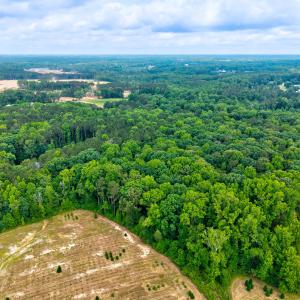 LYOlx6R8HZPXzGM77Oc9LfVogiMH