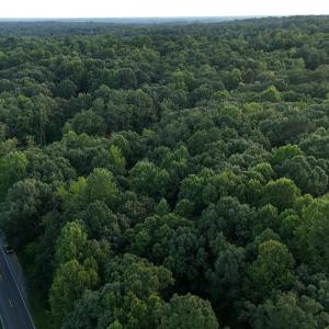 S-SW view of E property line