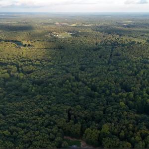 S-SE whole property view