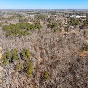 09-DJI_20250125120618_0037_D