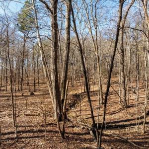 12-DJI_20250125121111_0046_D