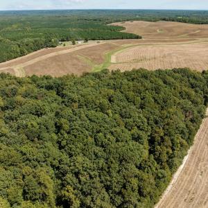 6-web-or-mls-DJI_20240910130911_0992_D