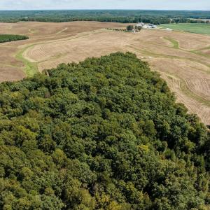 7-web-or-mls-DJI_20240910130927_0993_D