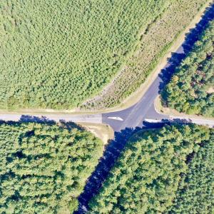DJI_0598
