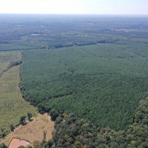 DJI_0584