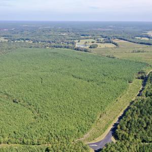 DJI_0591