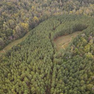 DJI_0518